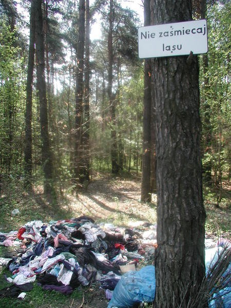 Po wejściu w życie "podatku śmieciowego&#8221; takie obrazki, jak ten w skarżyskiej dzielnicy Bór, mają zniknąć z krajobrazu.