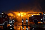 Ogromny pożar w Podolu Wielkim. Strażacy walczą z żywiołem (wideo, zdjęcia)
