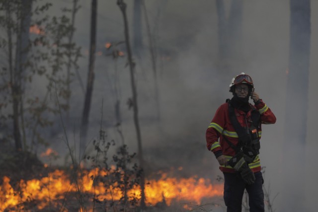 Strażacy walczą z pożarami lasów