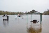 Narew w Ostrołęce w strefie stanów wysokich. 24.02.2024 poziom wody wynosił 320 cm, a 25.02.2024 - 323 cm