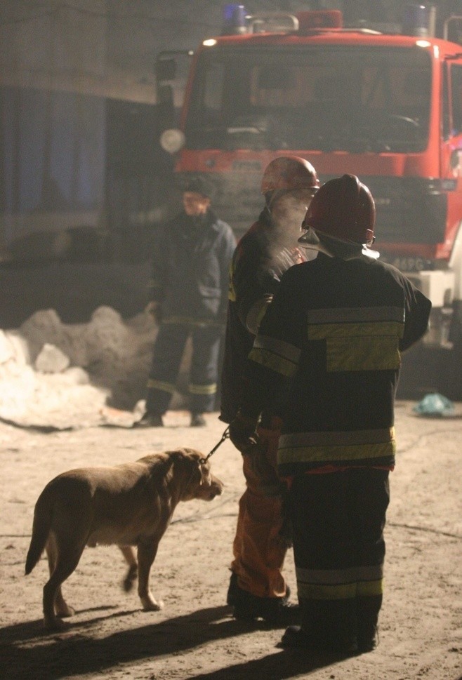 Już przed godziną 23.00, po około pięciu godzinach akcji...