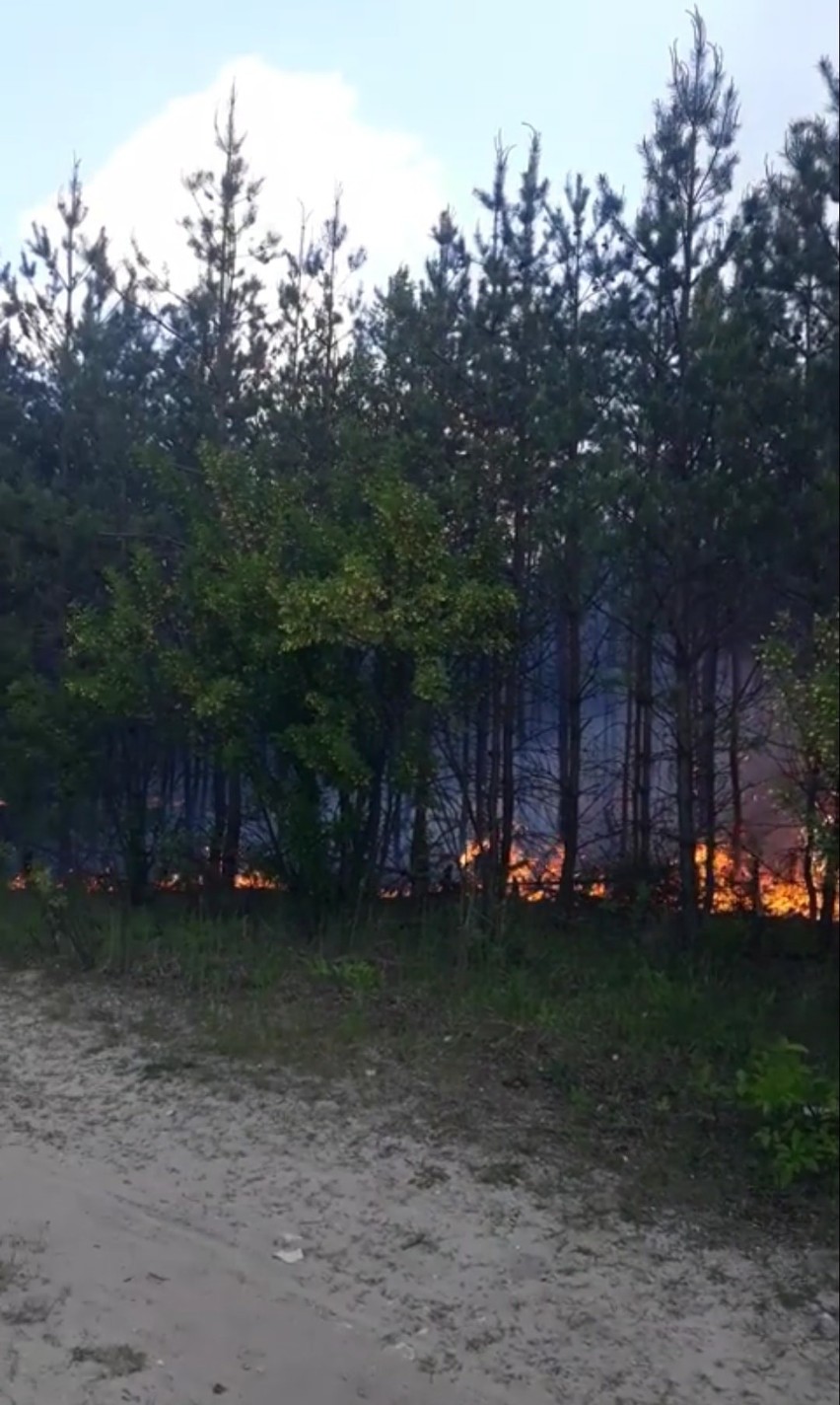 Strażacy z Patrol998-Małopolska na co dzień uczestniczą w...