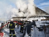 Pożar domu w Domachowie koło Polanowa. Ogień udało się szybko ugasić [ZDJĘCIA]