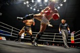 Guerrier Fight Night 2: Kacper Frątczak wygrał zawodową walkę w Ostrowie (zdjęcia)