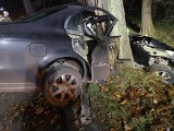 Straszny wypadek pod Bolesławcem. 19-latek nie miał szans w zderzeniu z drzewem [ZDJĘCIA]