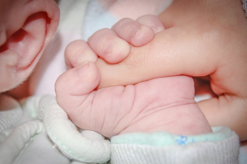 W klinice in vitro łodziance podano dwa zarodki należące do...
