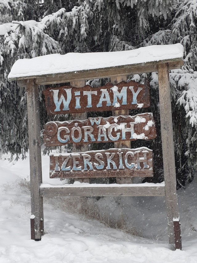 Biegówki w Jakuszycach! - WAŻNE! Do kolejnych zdjęć przejdziesz za pomocą gestów na telefonie lub strzałek obok.Biegacze narciarscy rozpoczęli już sezon na trasach w Górach Izerskich z centrum w Szklarskiej Porębie-Jakuszycach. Ratrak stowarzyszenia Bieg Piastów przygotowuje regularnie trasy. W piątek, 10 grudnia, można było biegać po około 20 kilometrach tras. W sobotę, 11 grudnia, ma dojść kolejnych piętnaście kilometrów.