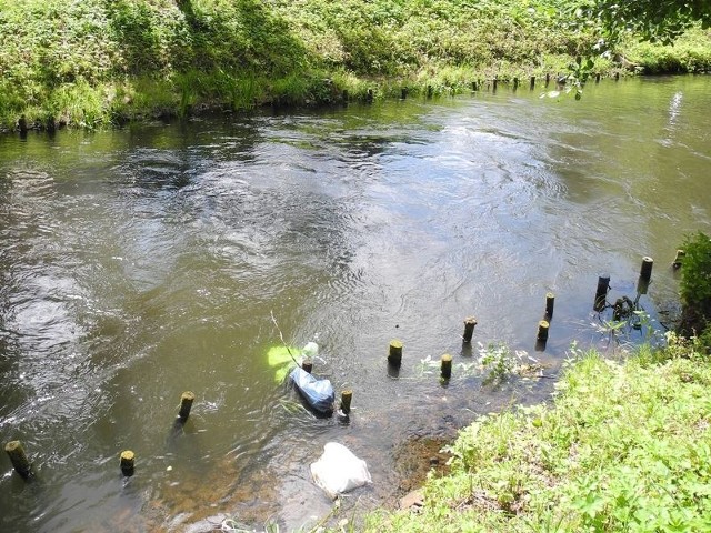 Śmieci pływające w rzece Łebie. 