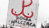 Do sądu za biust na PW. Plakat znieważał symbol?