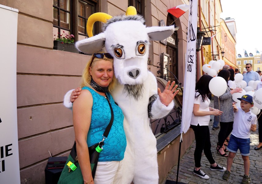 Lublin ma już szóstego koziołka. Figurka Światłowida stanęła...