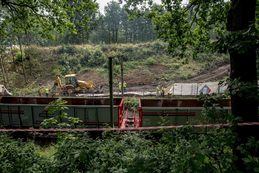 Prace przygotowawcze do odkopania tzw. złotego pociągu