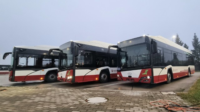Te trzy autobusy już wkrótce wyjadą na ulice Opola.