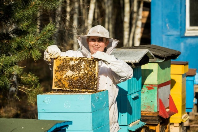 Liczba pszczelarzy na Kujawach i Pomorzu wzrosła – z 3452 w 2019, do 3791 w roku 2020. Na zdjęciu Julia Witwicka, pszczelarka z Bydgoszczy.