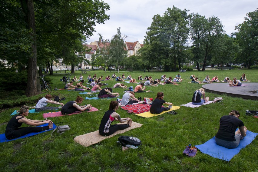 Przyjść do parku Jana Kochanowskiego (w pobliżu Filharmonii...