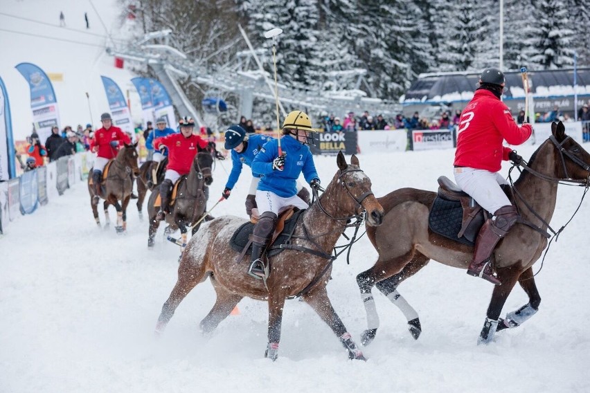 Czechy: śnieżne polo w Szpindlerowym Młynie [ZDJĘCIA]