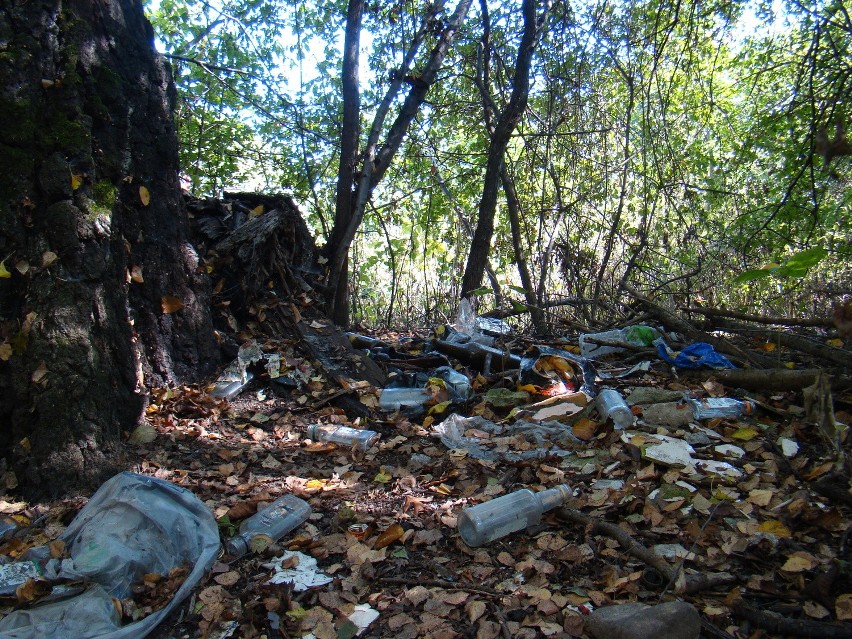 Dzikie wysypisko śmieci w Nowym Sączu. "To nie do pomyślenia" [ZDJĘCIA]