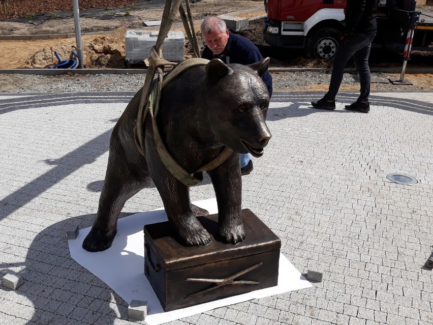 Szczecin. Miś Wojtek już stoi na skwerze swojego imienia [WIDEO, ZDJĘCIA]