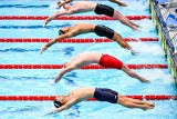 Mistrzostwa świata w pływaniu. Radosław Kawęcki siódmy na dystansie 200 metrów stylem grzbietowym