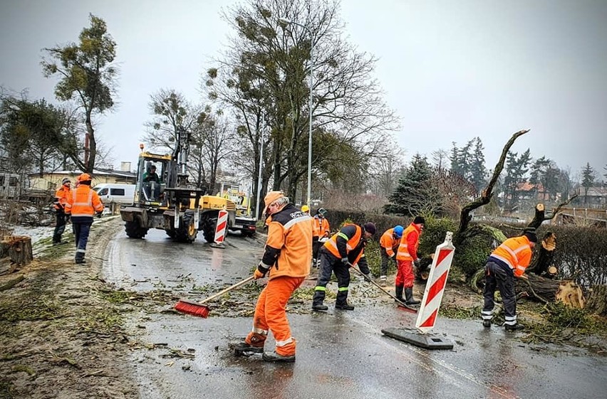 Mieszkańcy od 2019 roku próbowali zablokować wycinkę blisko...