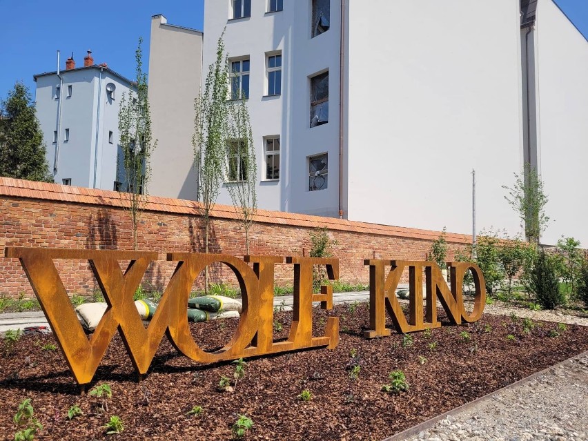 Kraków. Apel o zasadzenie drzew w nowym parku przy ulicy Karmelickiej
