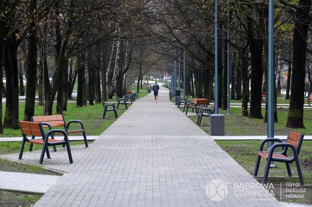 Tak dziś prezentują się Planty im. harcmistrza Stefana PiotrowskiegoZobacz kolejne zdjęcia/plansze. Przesuwaj zdjęcia w prawo - naciśnij strzałkę lub przycisk NASTĘPNE