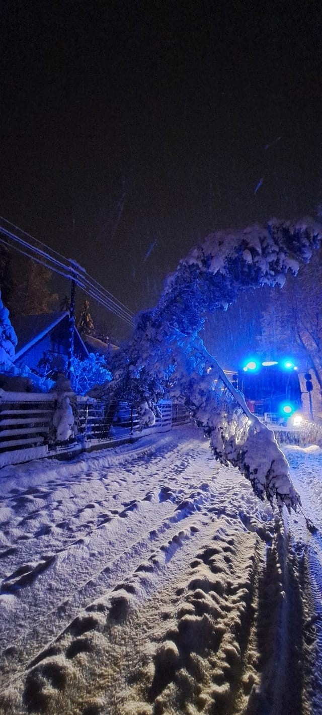 Strażacy z OSP pracowali cała noc przy usuwaniu powalonych...