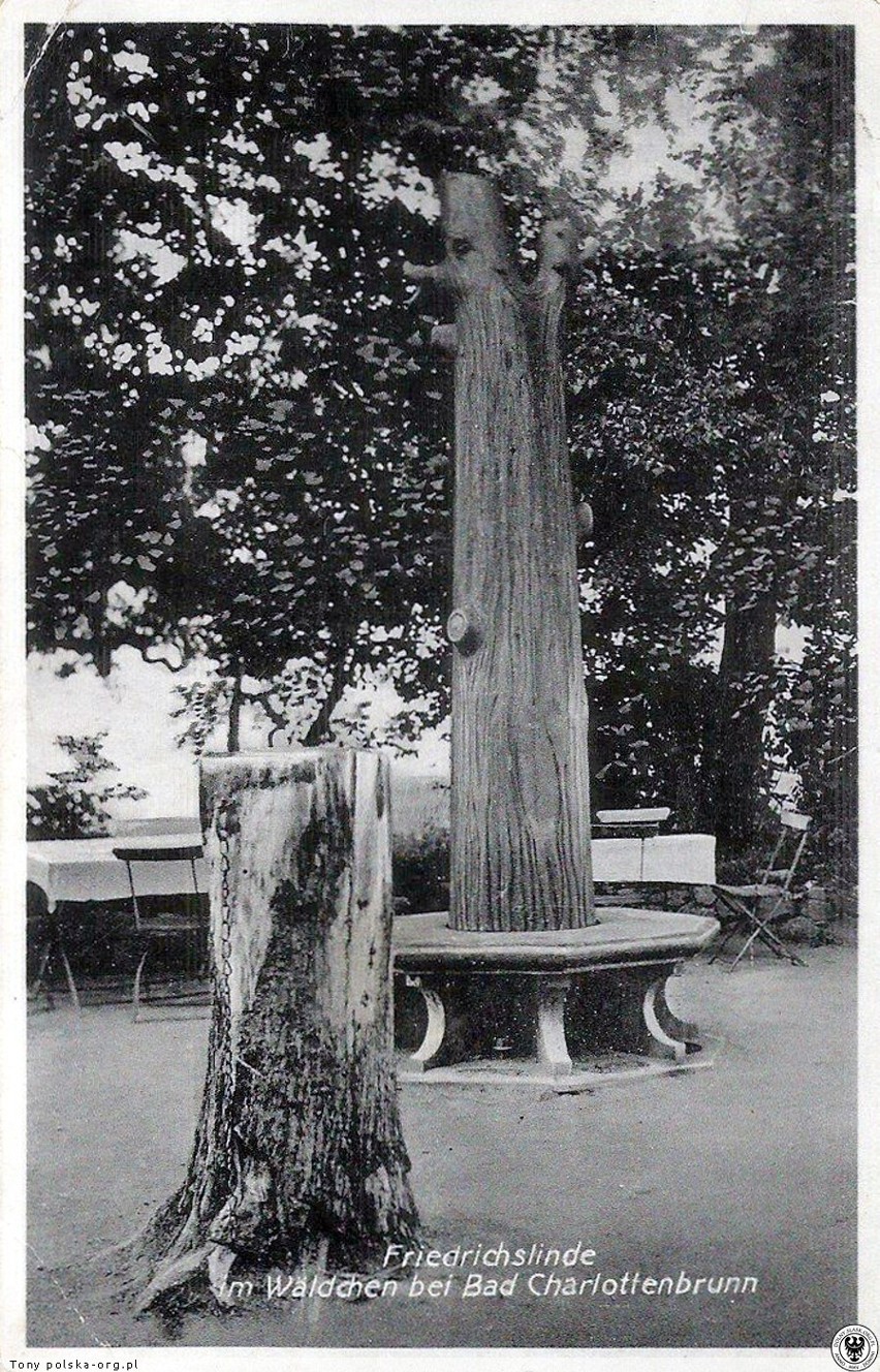 Historia Żelaznej Lipy wiąże się z bitwą pod Burkatowem,...