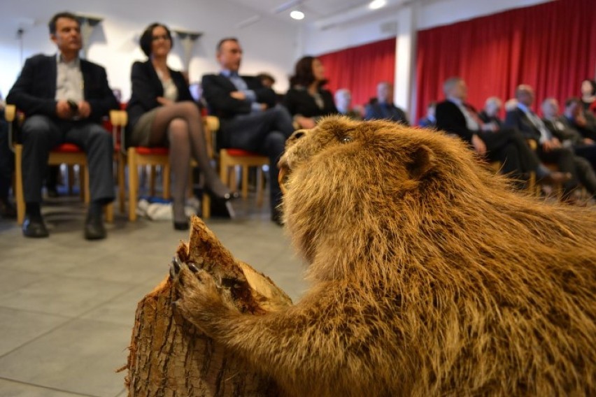 Konferencja ws. bobrów  w Żuławskim Parku Historycznym w...