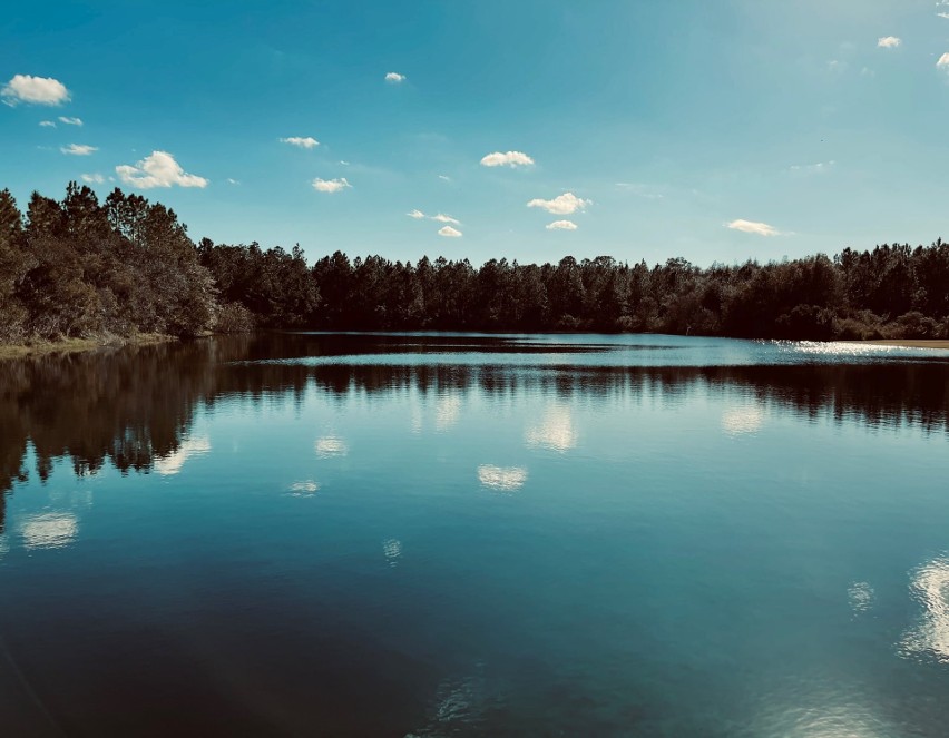 TOP 10: Najpiękniejsze jeziora na Pojezierzu Łęczyńsko-Włodawskim. Ranking subiektywny. Zobacz!