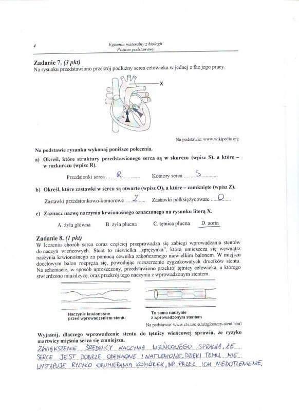 MATURA 2013. Biologia - poziom podstawowy [ARKUSZE, ODPOWIEDZI, KLUCZ CKE]