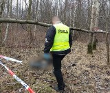 W lesie znaleziono zwłoki mężczyzny. To zaginiony z Tarnowskich Górach?