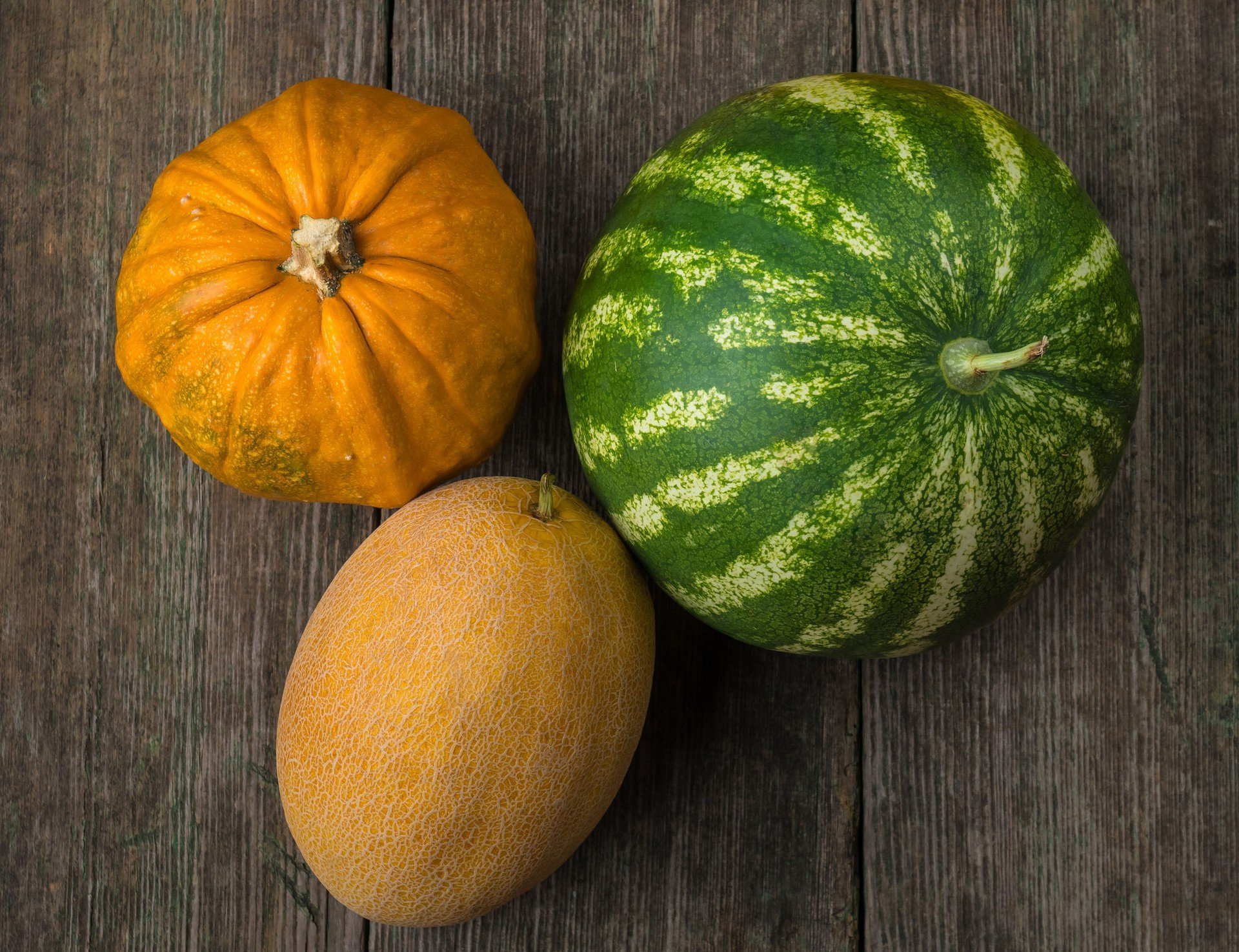 Dynia I Arbuz Ważą Razem 8 Kg Dynia, arbuz i melon – poznaj zdrowotne właściwości roślin dyniowatych