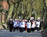 Droga krzyżowa ulicami Sandomierza z tłumem wiernych 