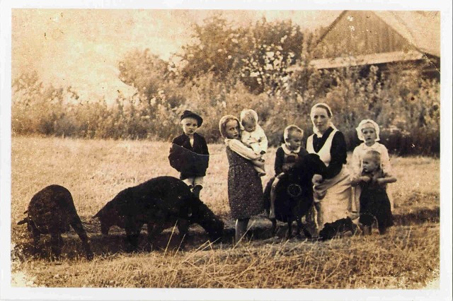 Rodzina Ulmów z Markowej koło Łańcuta. Nz. Wiktoria Ulma z dziećmi. Od lewej: Władzio, Stasia, trzymająca na rękach Marysię, Franuś (na baranku), Basia i Antoś. (jesień 1943).