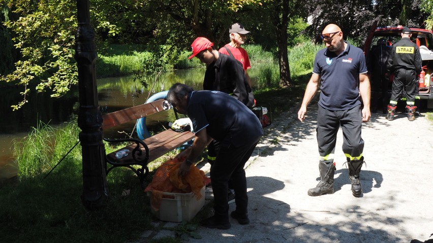 Członkowie Klubu Płetwonurków "Mares" rozpoczęli akcję...