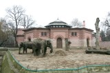 Słonie rozstrzelane we wrocławskim zoo