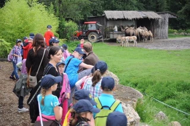 Dzięki karcie Opolska Rodzina bilety dla dzieci kosztują złotówkę m. in. do ogrodu zoologicznego.