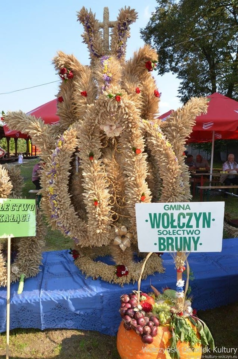 Krzywiczyny zorganizowały w tym roku święto plonów gminy...