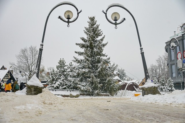 Miasto pod Giewontem szykuje się na święta Bożego Narodzenia. Ulice "ubierane" są w świąteczne iluminacje. Na zakopiańskim deptaku- Krupówkach stanęła już wielka miejska choinka.