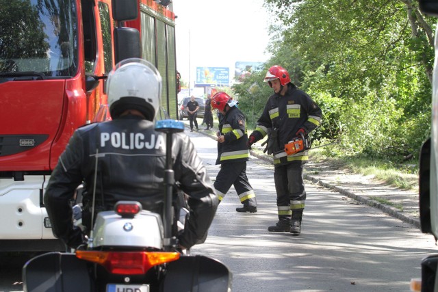 06.07.2016 wroclawgazeta wroclawskawroclaw, opolska, wjazd do wroclawia, powalone drzewo zablokowalo droge spadajace galecie uszkodzilu samochodjaroslaw jakubczak / polska presswiatr nawalnica wroclaw galezie drzewo opolska wjazd wroclaw radwanice straz pozarna zablokowana droga korek policja motocykl pila mechaniczna