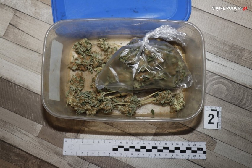 Katowice: policjanci przejęli ponad 3,5 kg marihuany