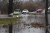 Widawa pod Wrocławiem przekroczyła stany alarmowe. Rzeka wdarła się na ulicę Wilczycką. Wody przybywa, obowiązuje alarm powodziowy!