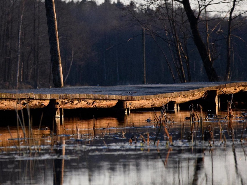 Piękne jezioro w podmiasteckim Bobięcinie w obiektywie