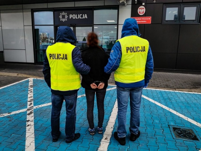 Białystok. Wyrzucili psa z ósmego piętra, bo wskoczył na stół w trakcie kolacji. Zwierzę nie przeżyło 