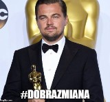 Oscary 2016: Memy po gali rozdania nagród Amerykańskiej Akademii Filmowej