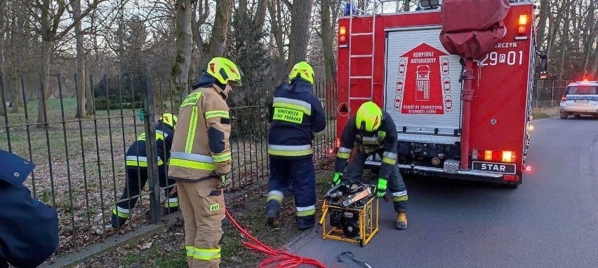 Strażacy uratowali koziołka, który zakleszczył się w...