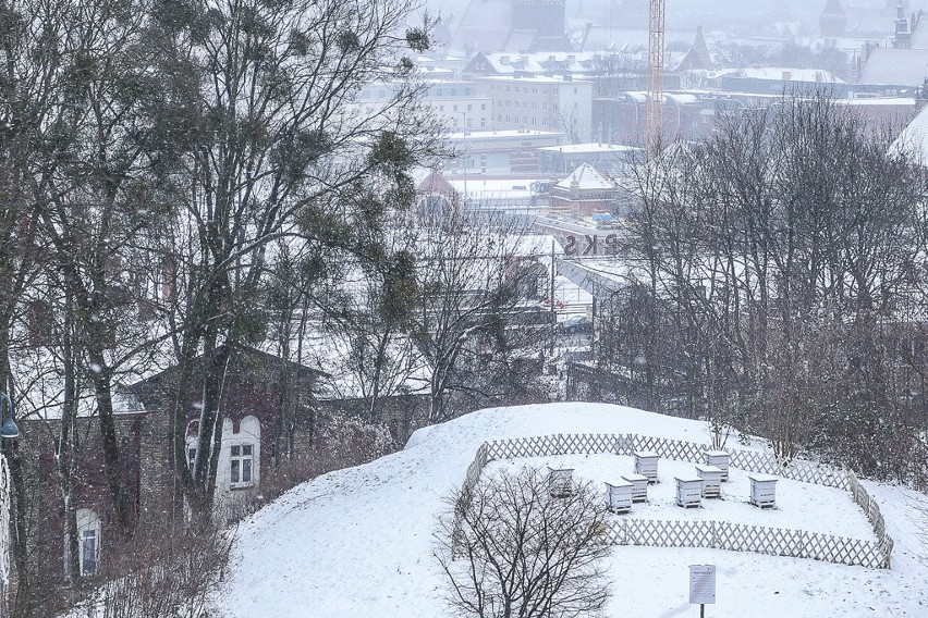 Zimowy Gdańsk widziany z Góry Gradowej! Zobaczcie te niesamowite zdjęcia