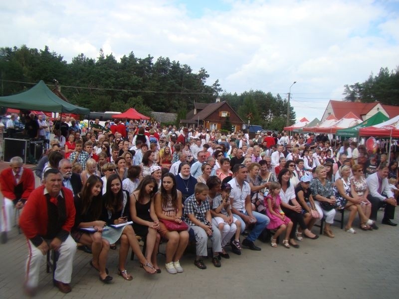 XXVIII Spotkania z Historią i Folklorem w Czarni (zdjęcia)