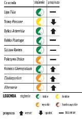 Komunikat pyłkowy dla alergików – Kraków