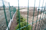 Pierwszy cmentarz dla zwierząt w Trójmieście już wkrótce będzie otwarty [ZDJĘCIA] 